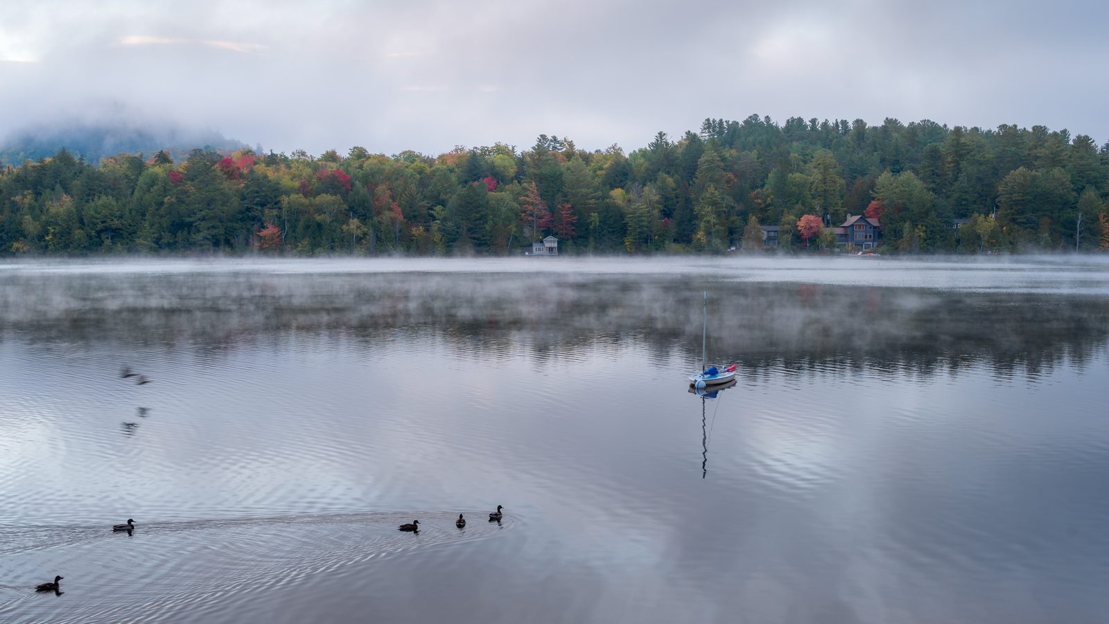 Lac brumeux à l'aube d'automne, eau calme et brume légère : la présence silencieuse qui se ressent sans mots